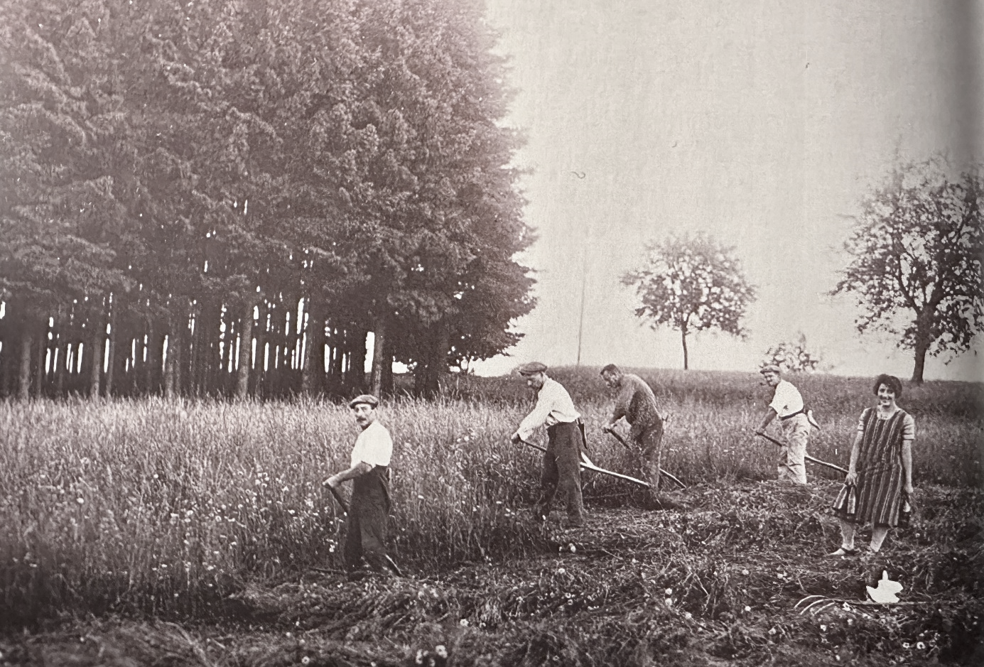 Ein Bild, das draußen, Gras, Baum, Person enthält.

Automatisch generierte Beschreibung